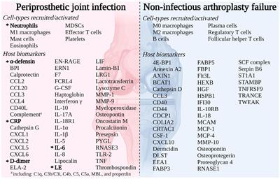 Active myeloperoxidase: a promising biomarker to differentiate “acute” and “low-grade” peri-prosthetic joint infections from aseptic failures